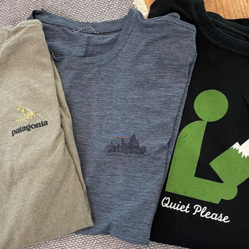 Patagonia Men's multi T-shirt